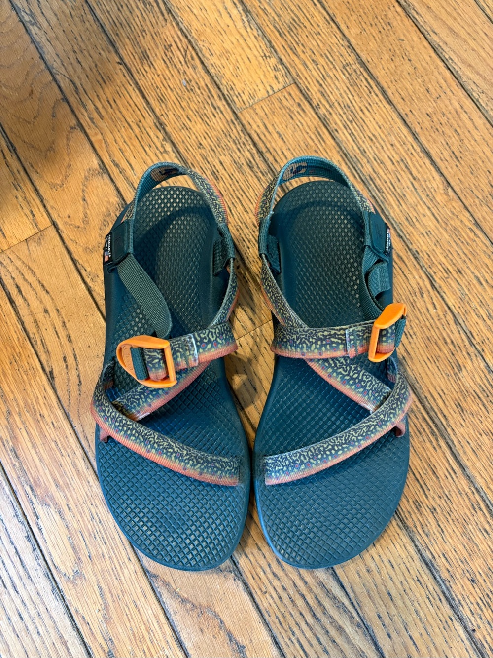 Chaco Rainbow Trout Sandal